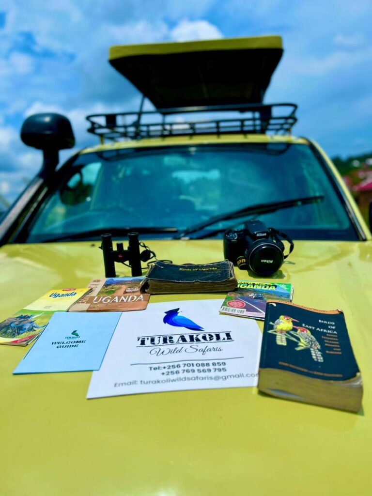 Well-used bird guides, binoculars and a camera on the bonnet of the Turakoli safari vehicle