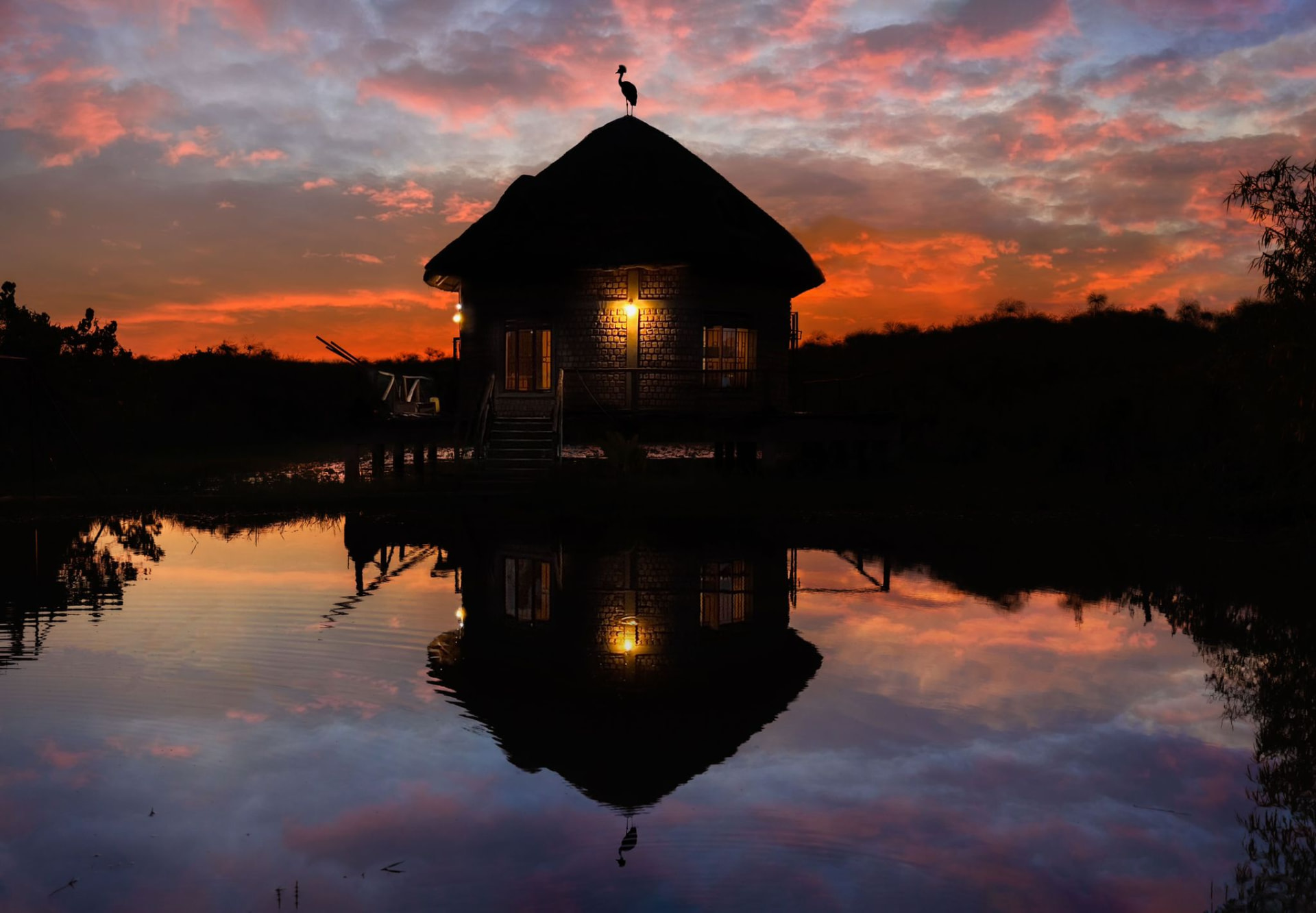 Thatched lodge with a crowned crane on the roof, reflected in still water at sunset