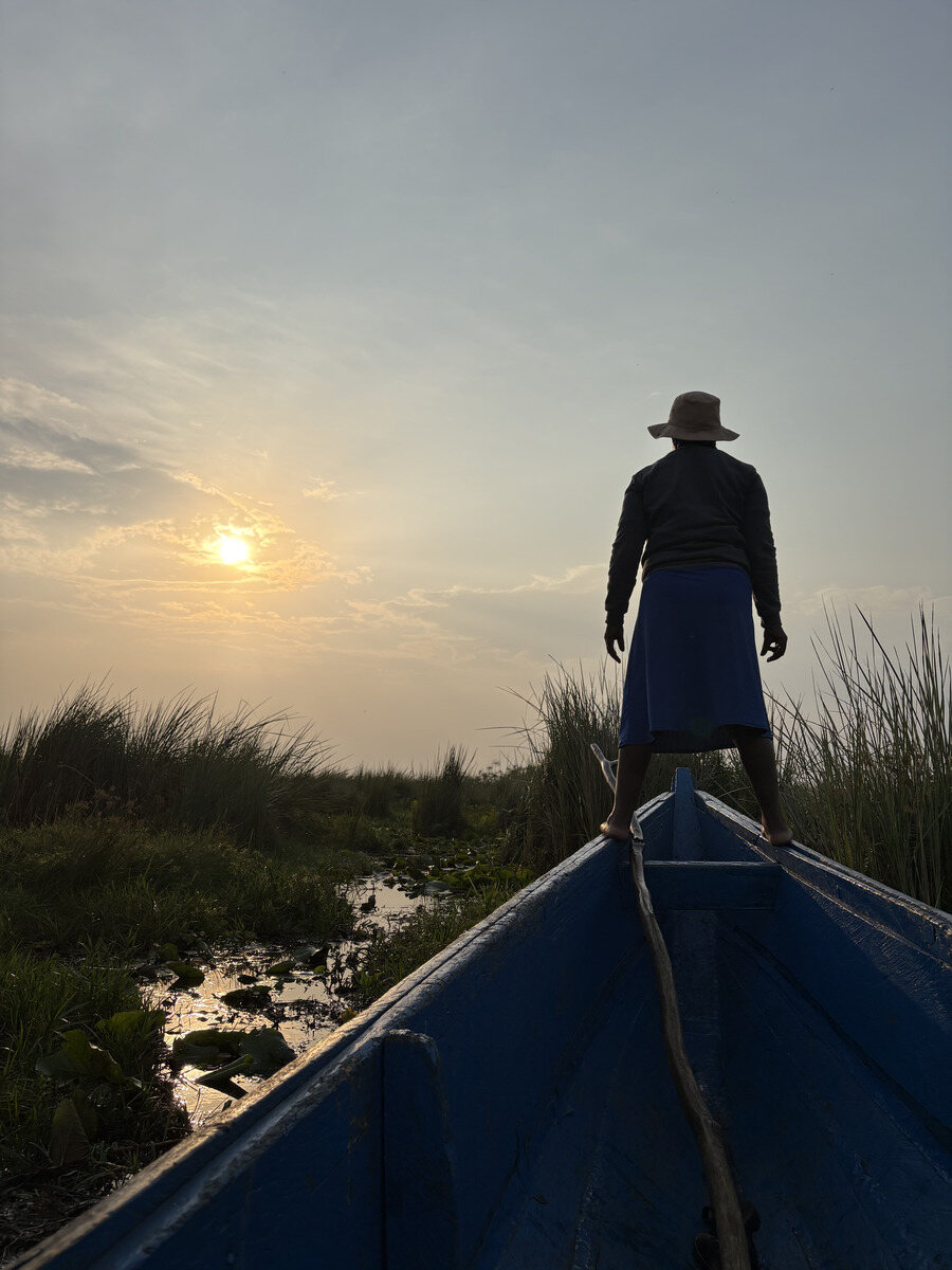 A person standing at the bow of a blue canoe in Mabamba Wetlands at sunset