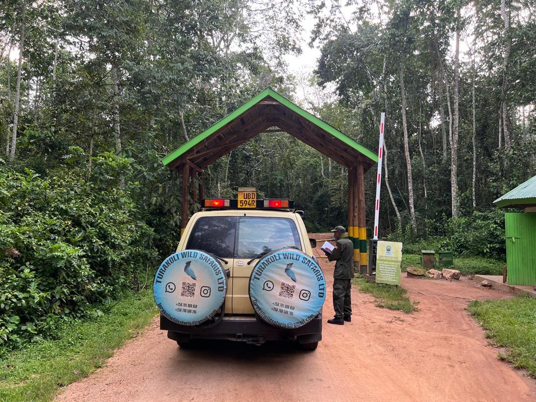 The Turakoli safari vehicle stopped at a forest park gate while a ranger checks in