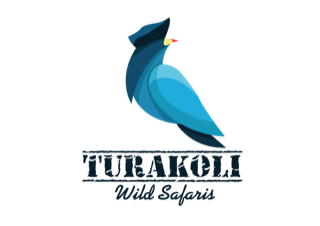 TURAKOLI WILD SAFARI